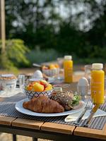 TinyHouse Pawradise Nr.422 - Top-Hundeurlaub