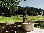 Weyereralm – Hüttenurlaub auf der Alm - Top-Hundeurlaub