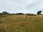 Landschaft - Harmony - Osterweg 52, App. 1 - Top-Hundeurlaub