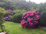 Garten - Residenz Nikolas- Grenzweg 12, App. 2 - Top-Hundeurlaub