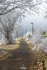 Landschaft - Ferienhaus Panoramablick 11 - St. Andreasberg im Harz - Top-Hundeurlaub