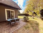 Terrasse - Kimi - Top-Hundeurlaub