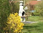 Seeschwalbe 11 - Top-Hundeurlaub