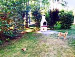 Seeschwalbe 11 - Top-Hundeurlaub