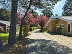 Fassade / Eingang - Seeschwalbe 98 - Top-Hundeurlaub