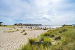 Strand - Marina Sands - Top-Hundeurlaub