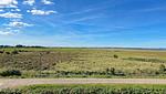 Landschaft - Heefwai - Top-Hundeurlaub