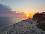 Strand - Ferienhaus zum Kranichblick - für Familien + Hund - Top-Hundeurlaub