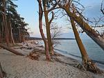Ferienhaus zum Kranichblick-10 - Ferienhaus zum Kranichblick - für Familien + Hund - Top-Hundeurlaub