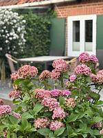 BAN/01A - Top-Hundeurlaub