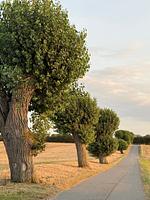 BAN/01A - Top-Hundeurlaub