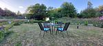 Garten - Haus Waldblick - am Rande des Nationalparks Jasmund - Top-Hundeurlaub