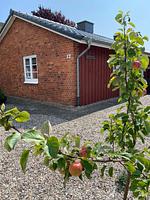 Lönnehus - Top-Hundeurlaub
