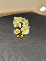 Lillehus - Top-Hundeurlaub