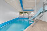 Pool - Ferienhaus Poolhaus Schönhagen - Top-Hundeurlaub