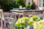 Terrasse - LITZKOW 15004 - Top-Hundeurlaub