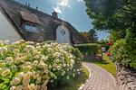Hauptansicht - LITZKOW 15403 - Top-Hundeurlaub