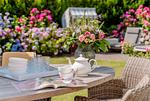 Terrasse - LITZKOW 15403 - Top-Hundeurlaub