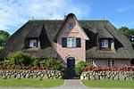 LITZKOW 15804 - Top-Hundeurlaub
