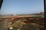 Landschaft - Ferienwohnung Dünennest - Top-Hundeurlaub