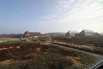 Landschaft - Ferienwohnung Dünennest - Top-Hundeurlaub
