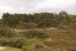 Landschaft - Dünenruhe - Top-Hundeurlaub