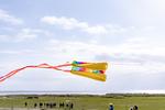 Strand - Sonnenseite (49.3.S) - Top-Hundeurlaub