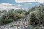 Strand - Sonnenseite (49.3.S) - Top-Hundeurlaub
