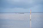 Strand - Sonnenseite (49.3.S) - Top-Hundeurlaub