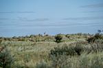 Strand - Sonnenseite (49.3.S) - Top-Hundeurlaub