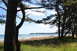 Strand - Haus: ruhige Lage, Gartengrundstück - Top-Hundeurlaub