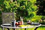 Terrasse - Zeitlos - Top-Hundeurlaub