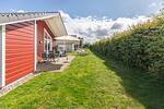 Friesengeist - Top-Hundeurlaub