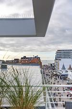 Himmel & Meer - Top-Hundeurlaub