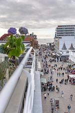 Himmel & Meer - Top-Hundeurlaub