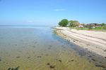 Strandkate - Top-Hundeurlaub