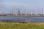 Strandkate - Top-Hundeurlaub