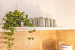 Dekoratives Detail - Haus Ostwind - Top-Hundeurlaub