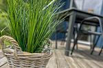 Terrasse mit Dekoratives Detail - Ferienhaus 01 - Top-Hundeurlaub