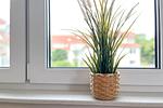 Detailfoto - Wohnung 45 - Top-Hundeurlaub