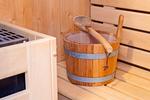 Badezimmer mit Sauna - Wohnung 48 - Top-Hundeurlaub