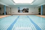 Pool - Wohnung Küstenlicht mit Schwimmbad - Top-Hundeurlaub