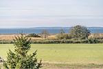 Gartenblick - App. Mittagsonne - Top-Hundeurlaub