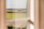 Gartenblick - App. Mittagsonne - Top-Hundeurlaub