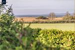 App. Ostseesonne - Top-Hundeurlaub