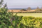 Gartenblick - App. Ostseesonne - Top-Hundeurlaub
