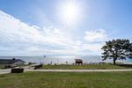 Meerblick - Ostseeflair mit Meeresblick - Top-Hundeurlaub