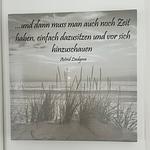 FeWo 7 - Top-Hundeurlaub