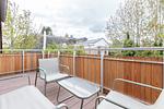 Moderne Terrasse mit Tisch und Stühlen - Boddenräuber 5 - Top-Hundeurlaub