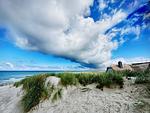 Strand mit Gras und dramatischen Wolken - Boddenräuber 5 - Top-Hundeurlaub